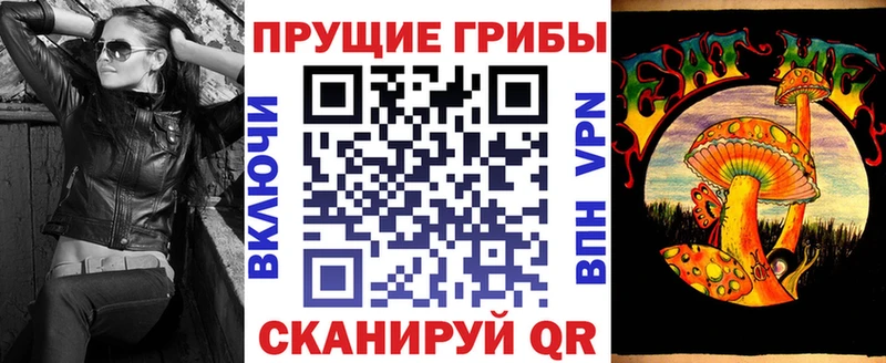 Купить Моршанск Галлюциногенные грибы Psilocybine cubensis